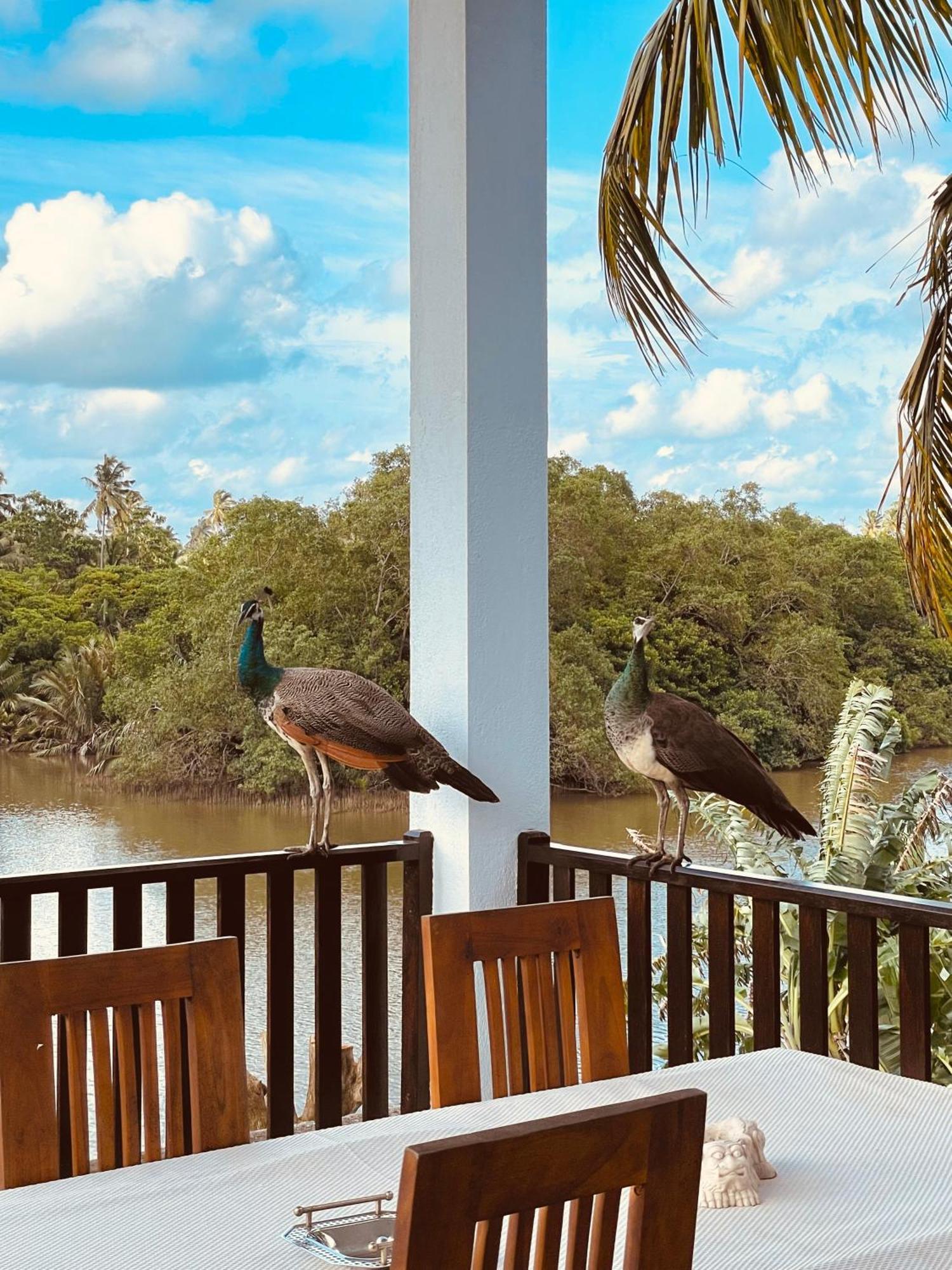 Riverwood Villa Weligama Ngoại thất bức ảnh